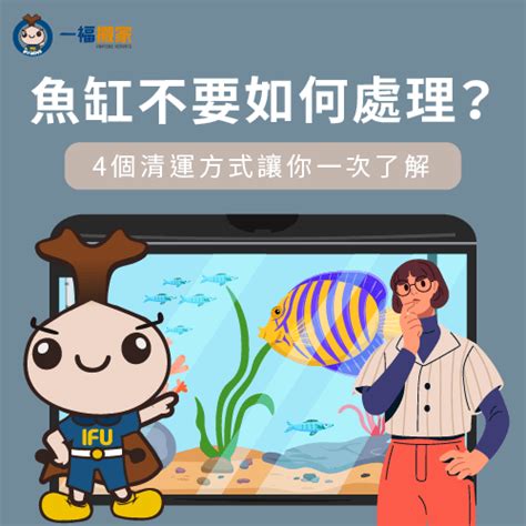 不要的魚缸怎麼辦|魚缸處理懶人包